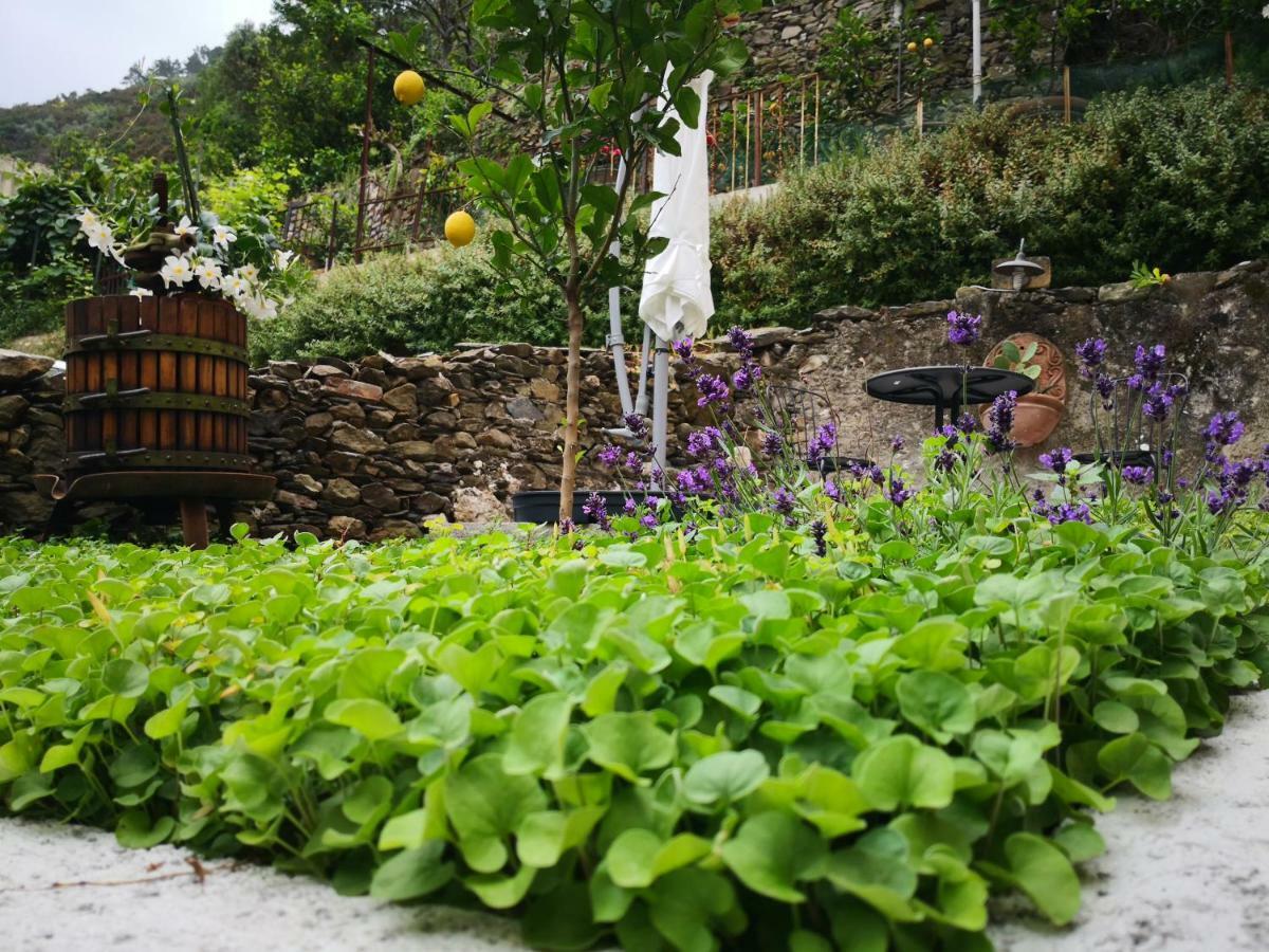 Il Giardino Di Riomaggiore Apartamento Exterior foto