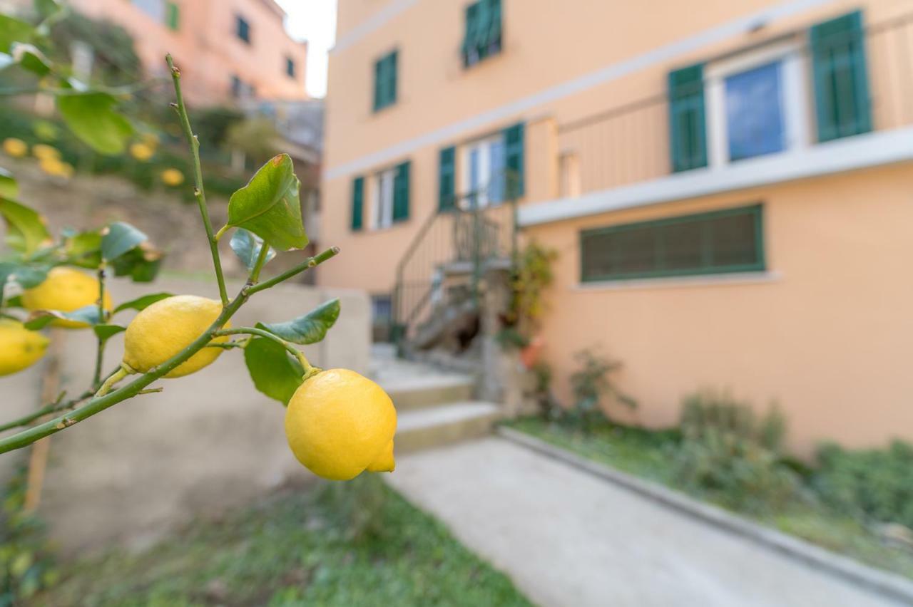 Il Giardino Di Riomaggiore Apartamento Exterior foto